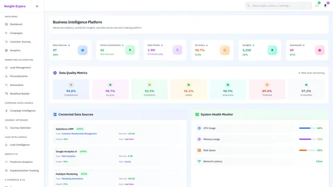 Business Intelligence Portal Interface